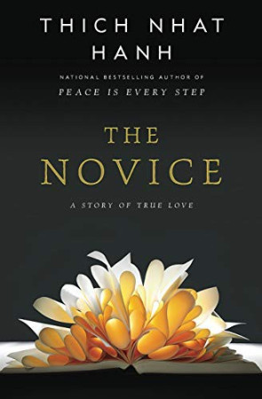 Novice: a story of true love