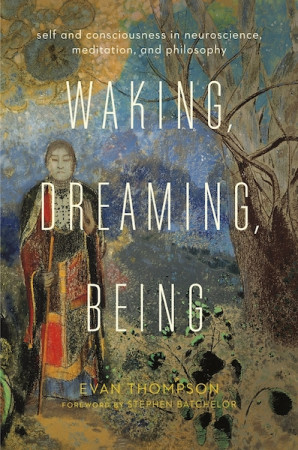 Waking, Dreaming, Being: self and consciousness in neuroscience, meditation, and philosophy