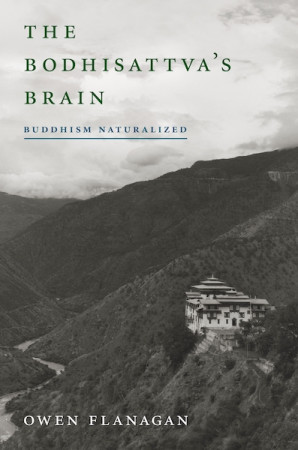Bodhisattva's Brain: buddhism naturalized