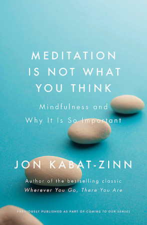 Meditation is Not What You Think: mindfulness and why it is so important