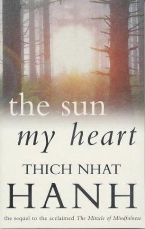 Sun My Heart: from mindfulness to insight contemplation