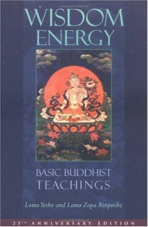 Wisdom Energy: basic Buddhist teachings