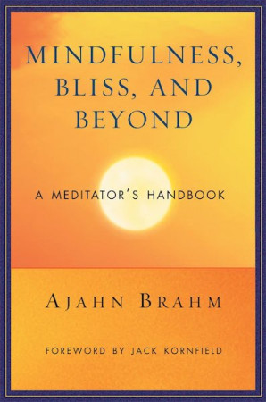 Mindfulness, Bliss and Beyond: a meditator's handbook