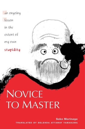 Novice to Master: an ongoing lesson in the extent of my own stupidity