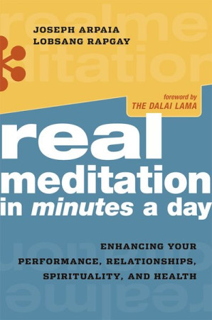 Real Meditation in Minutes a Day: enhancing your performance, relationships, spirituality, and health