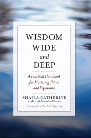 Wisdom Wide and Deep: a practical handbook for mastering jhana and vipassana