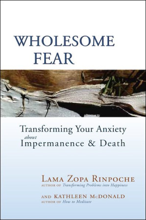 Wholesome Fear: transforming your anxiety about impermanence & death