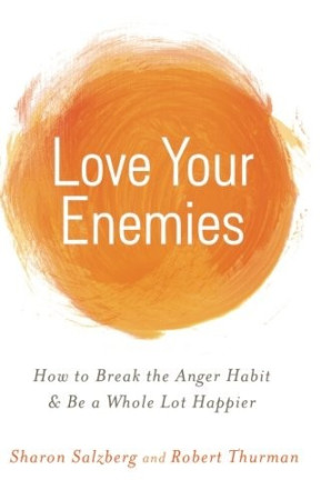 Love Your Enemies: how to break the anger habit and be a whole lot happier