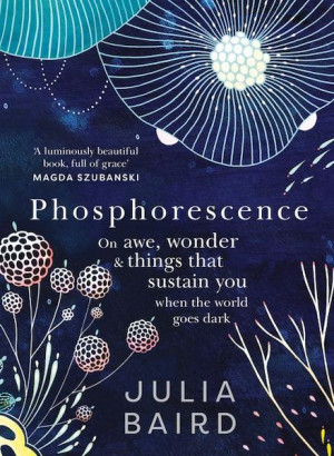 Phosphorescence: on awe, wonder and things that sustain you when the world goes dark
