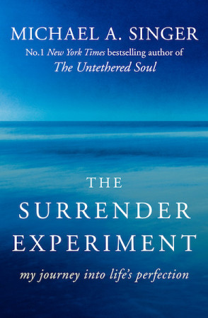 Surrender Experiment: my journey into life's perfection