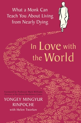 In Love With the World: what a Buddhist monk can teach you about living from nearly dying