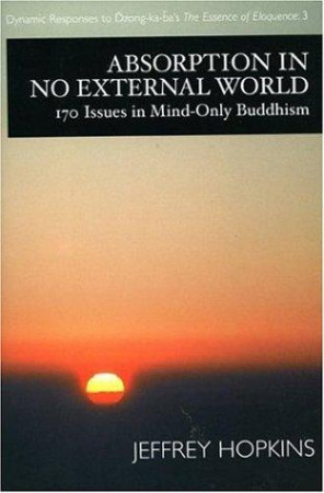 Absorption in No External World: 170 issues in mind-only Buddhism