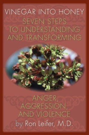Vinegar into Honey: seven steps to understanding and transforming anger, aggression, and violence