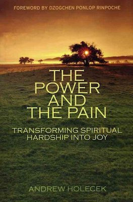 Power and the Pain: transforming spiritual hardship into joy