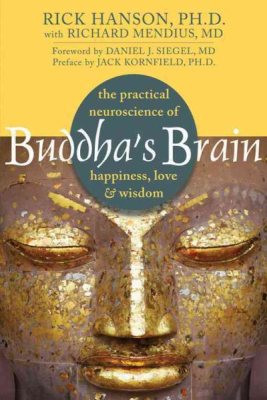 Buddha's Brain: the practical neuroscience of happiness, love, and wisdom