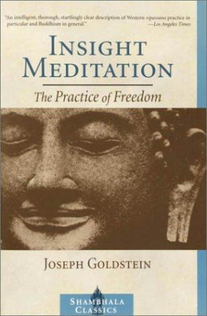 Insight Meditation: the practice of freedom (Shambhala Classics Edition)