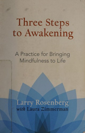 Three Steps to Awakening: a practice for bringing mindfulness to life
