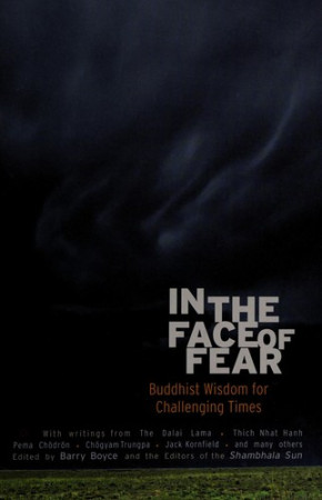 In the Face of Fear: Buddhist wisdom for challenging times