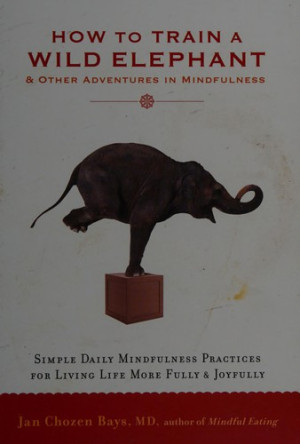 How to Train a Wild Elephant: and other adventures in mindfulness