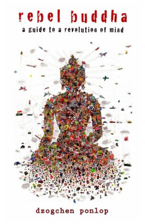 Rebel Buddha: a guide to a revolution of mind