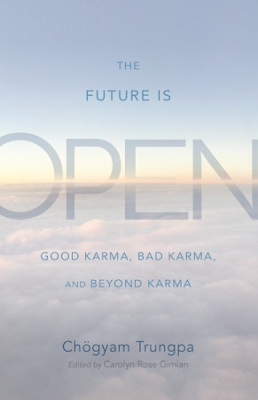Future Is Open: good karma, bad karma, and beyond karma