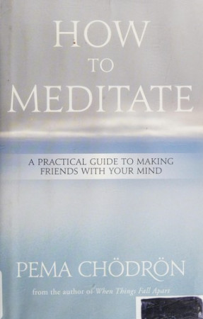 How to Meditate: a practical guide to making friends with your mind