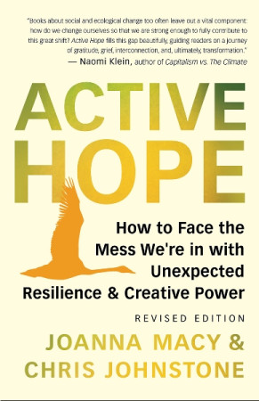 Active Hope: how to face the mess we're in with unexpected resilience and creative power