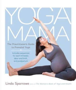 Yoga Mama: the practitionerâ€™s guide to prenatal yoga