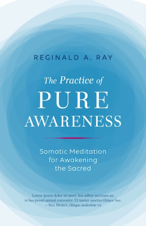 Practice Of Pure Awareness