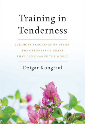 Training In Tenderness: Buddhist teachings on Tsewa, the radical openness of heart that can change the world