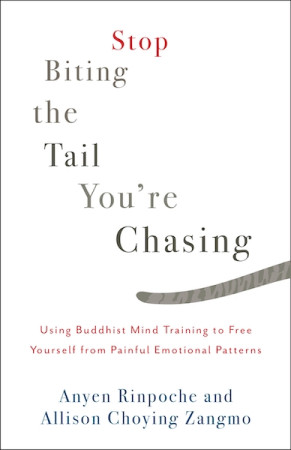 Stop Biting The Tail You're Chasing: using Buddhist mind training to free yourself from painful emotional patterns