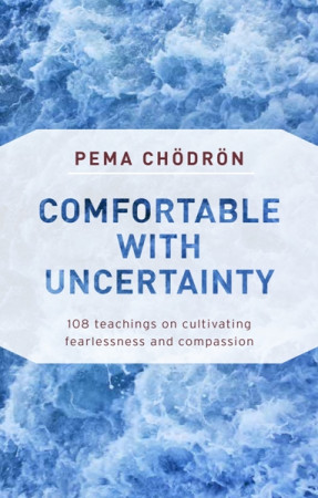 Comfortable with Uncertainty: 108 teachings