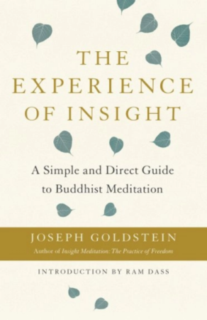 Experience of Insight: a simple and direct guide to Buddhist meditation