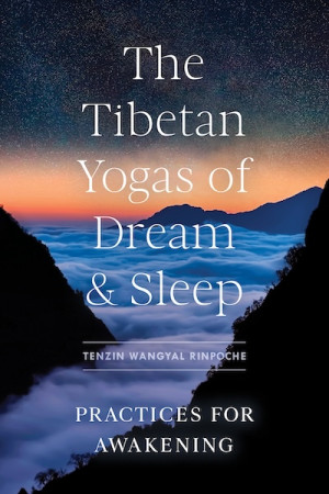 Tibetan Yogas of Dream and Sleep: practices for awakening