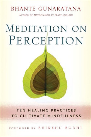Meditation on Perception: ten healing practices to cultivate mindfulness