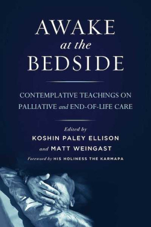 Awake at the Bedside: contemplative teachings on palliative and end-of-life care