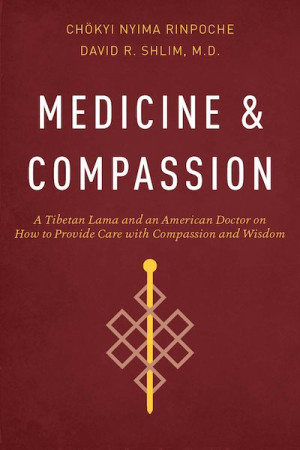 Medicine and Compassion: a tibetan lama and an American doctor on how to provide care with compassion and wisdom