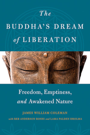 Buddha's Dream of Liberation: freedom, emptiness, and awakened nature