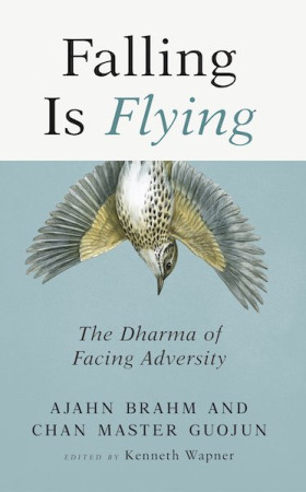 Falling Is Flying: the dharma of facing adversity