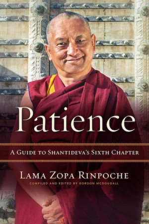 Patience: a guide to Shantideva's sixth chapter