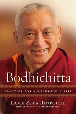 Bodhichitta: practice for a meaningful life