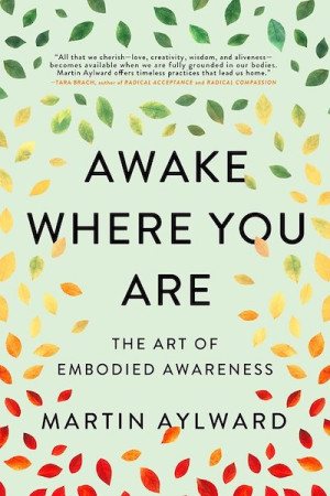 Awake Where You Are: the art of embodied awareness