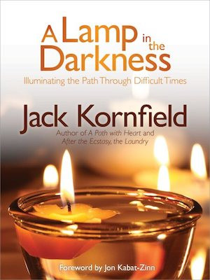 Lamp in the Darkness: illuminating the path through difficult times