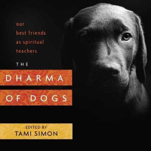 Dharma of Dogs: our best friends as spiritual teachers
