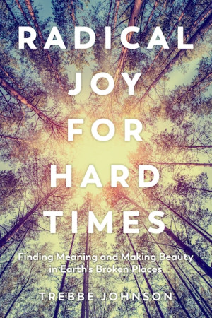 Radical Joy For Hard Times