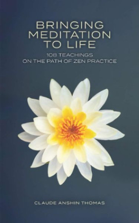 Bringing Meditation to Life: 108 teachings on the path of zen practice
