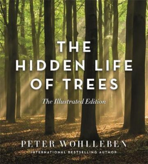 Hidden Life of Trees: the illustrated edition