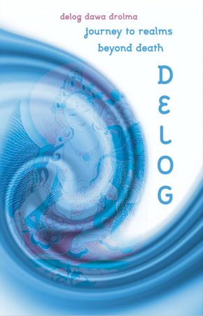 Delog: journey to realms beyond death