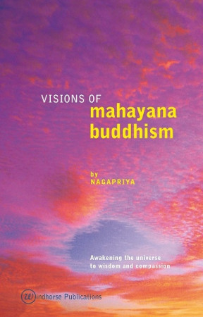 Visions of Mahayana Buddhism: awakening the universe to wisdom and compassion