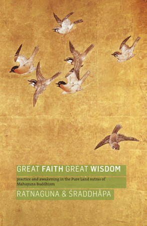 Great Faith, Great Wisdom: practice and awakening in the Pure Land Sutras of Mahayana Buddhism